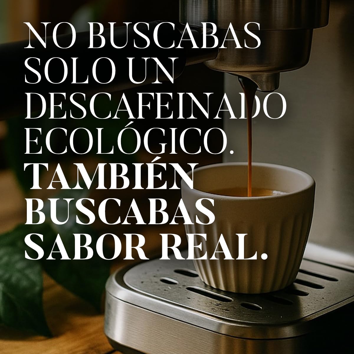 Café BOU | Café en Grano Descafeinado Ecológico Premium | 100% Arábica Ecológico Certificado | Descafeinado Natural con Agua | Cuerpo Medio | Pack 3×250 g