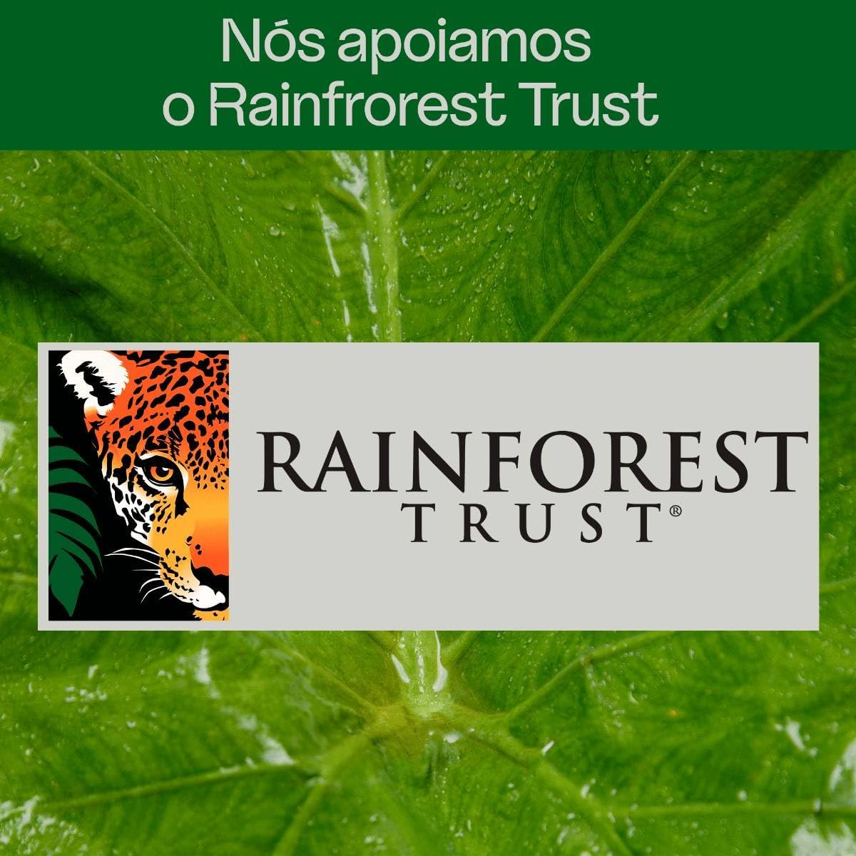 Kit Duas Areias Higiênicas Para Gatos Viva Verde Grãos Grossos