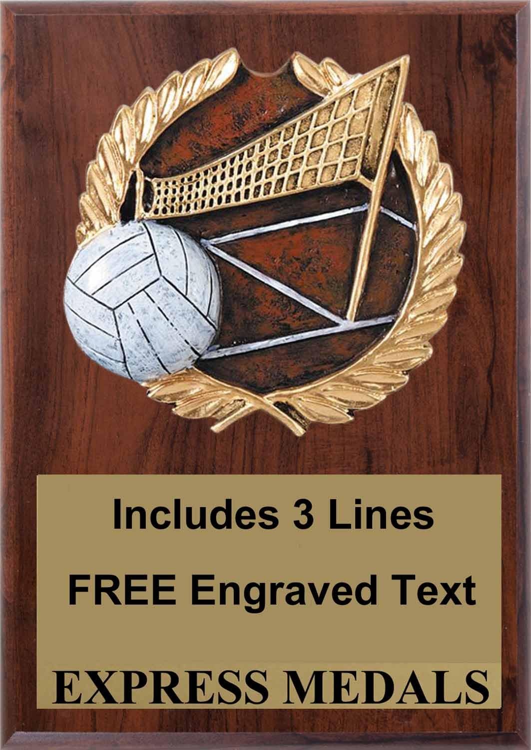 Express Medals 5 inch x 7 inch Volleyball Plaque Trophy Award with Free Engraving