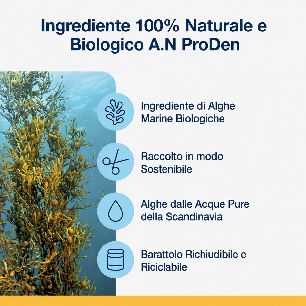 ProDen PlaqueOff 60g per Cani e Gatti – Aiuta a Ridurre Placca, Tartaro e Alito Cattivo – Pulizia Dentale 100% Naturale – Clinicamente Testato