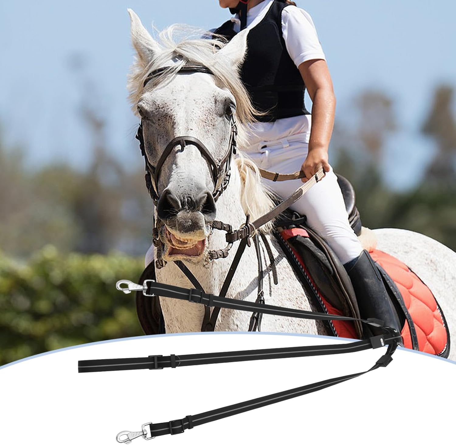 Horse Riding Tack Led Horse Breastplate Stylish Leash for Equestrian Random Style