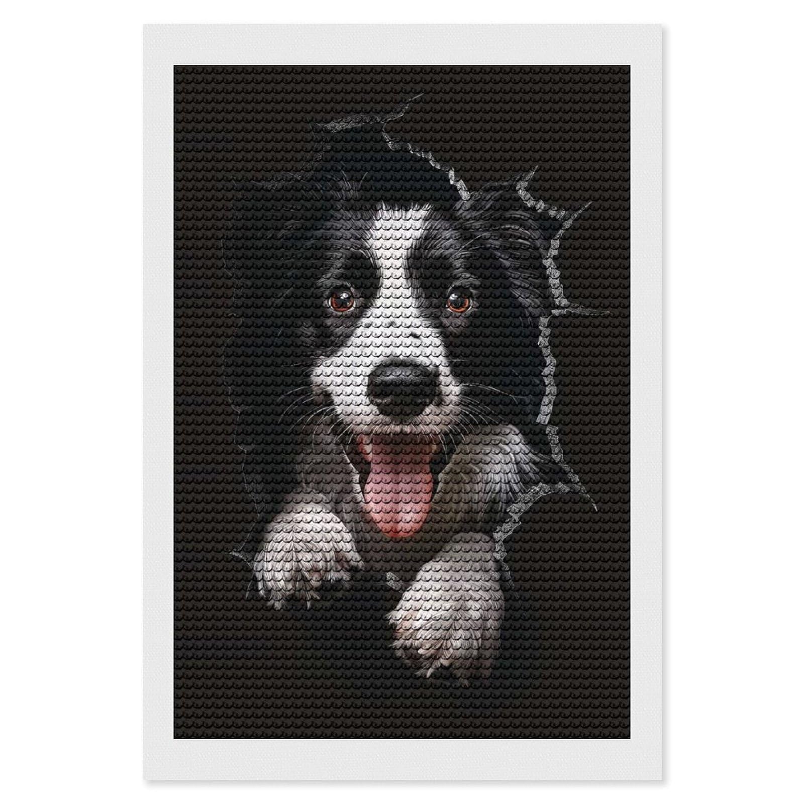 Junmoney Border Collie Dog Diamond Painting Set 8"x12", Modern Decor, for Beginners, Printed Canvas, Thoughtful Handmade Gift, with Tool Kit