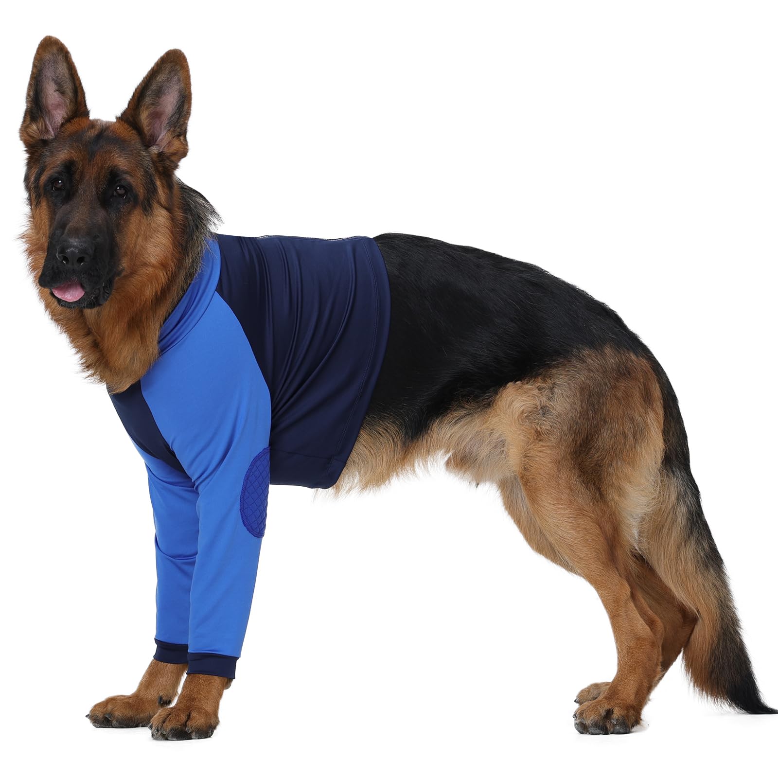 Lelepet Tutina per il recupero del cane per zampe anteriori, manicotto per il recupero del cane, protezione per gomito del cane per lesioni alle gambe, gomitiere per cani, protegge le articolazioni