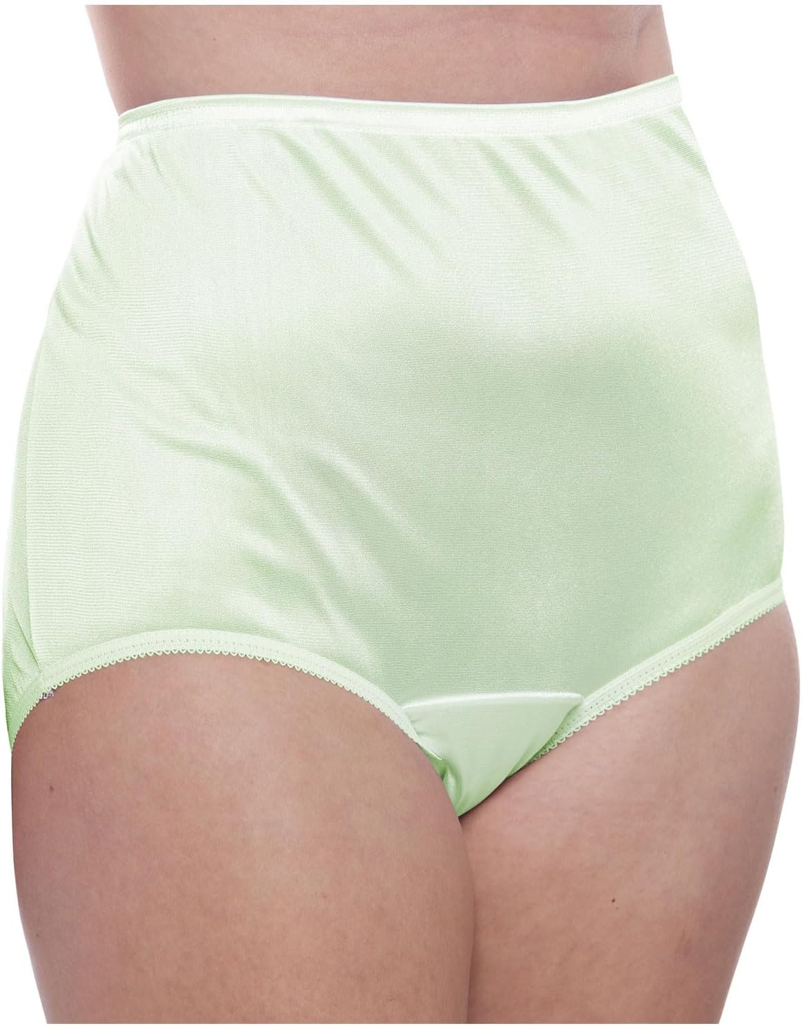 Teri Women's 331 Plain Jane Classic Nylon Silky-Smooth Lightweight Breathable Full Coverage Brief Panty - 4 Pack - Image 2