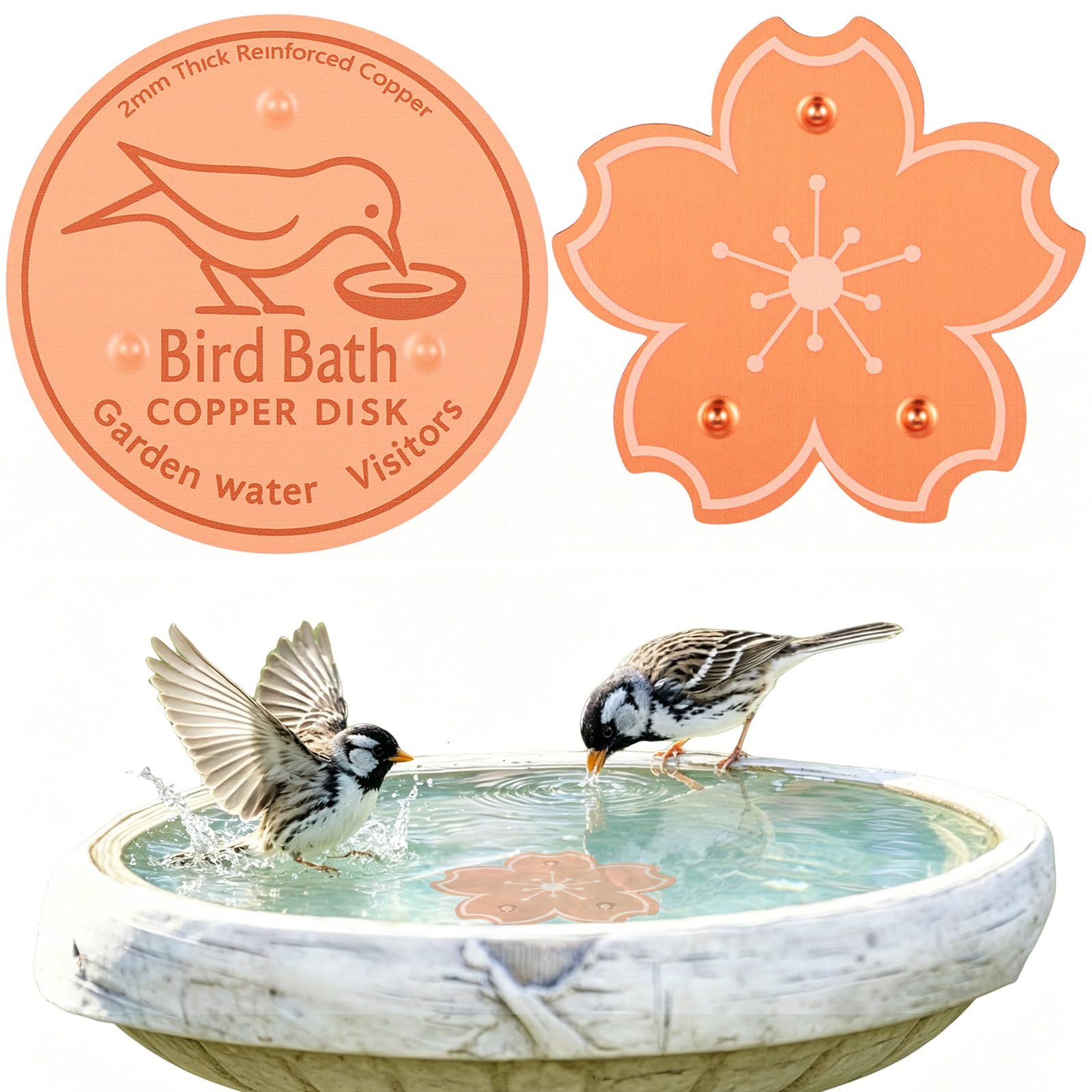 2Pcs Bird Bath Copper Disc, 99.99% Pure Copper Bird Bath Purification Disk 0.8mm Thick with Stable 3-Point Support BirdBath Cleaning Disc for Outdoor Birdbaths & Fountains All-Season Cleaning (Style6)