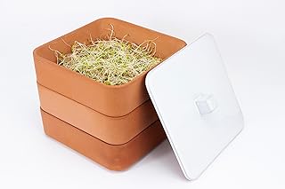 LE PAYSAN - Germoir A Etages - Pot Germination Terre Cuite - Culture Interieur - Matériau Naturel - Facile D'Utilisation - Germination Rapide - L 16 x l 16 x h 17 cm - 2,5 kg