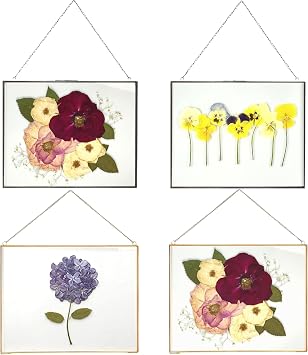 Beedecor Double Glass Wall Frame Bundle Set of 4 Hanging Frames 10x8 in Gold & Black, Perfect for Pressed Flowers, Leaves, Art, and Modern Floating Wall Displays