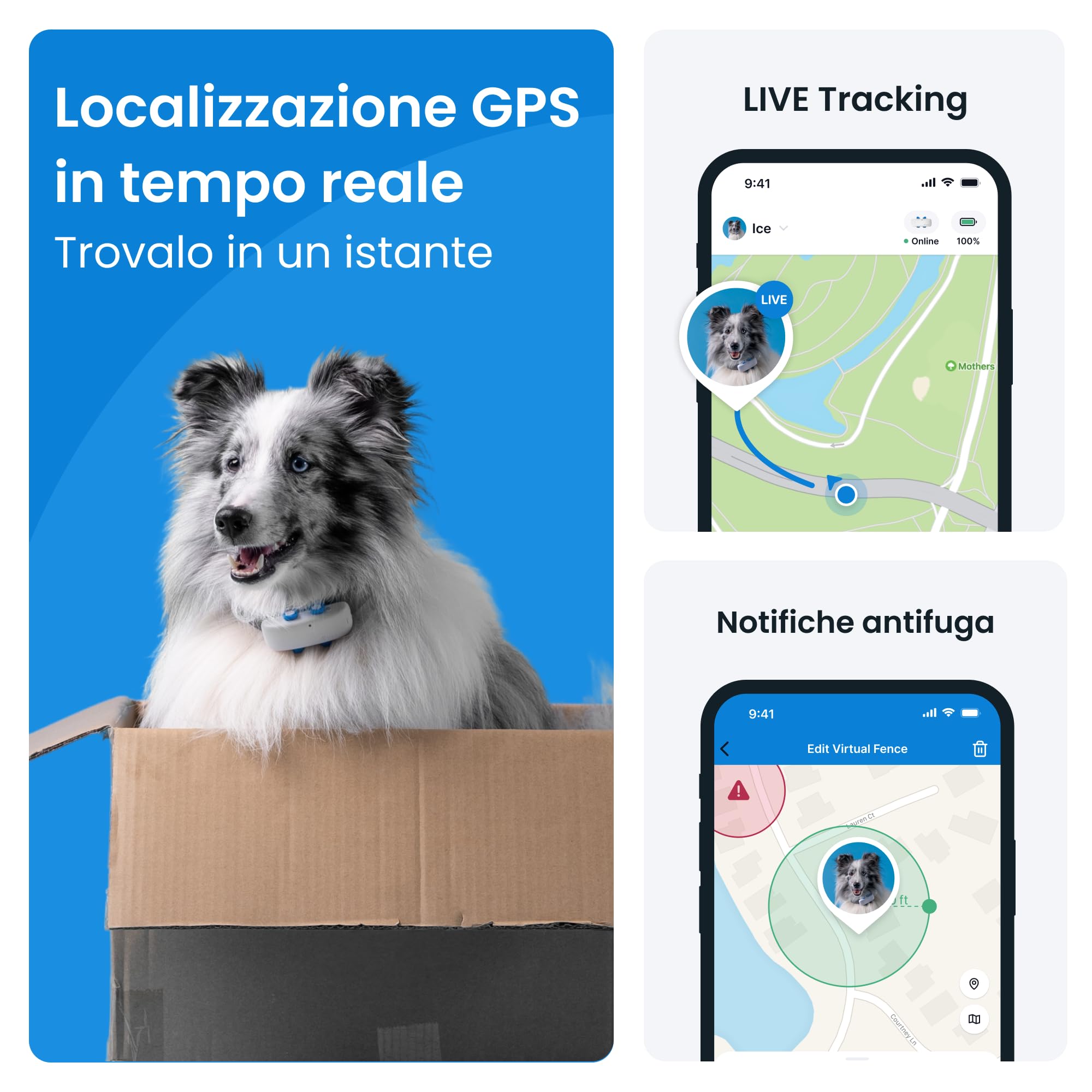 Tractive - GPS per cani, Localizzazione in tempo reale in tutto il mondo, Notifiche antifuga, Monitoraggio dell'attività con avvisi di salute