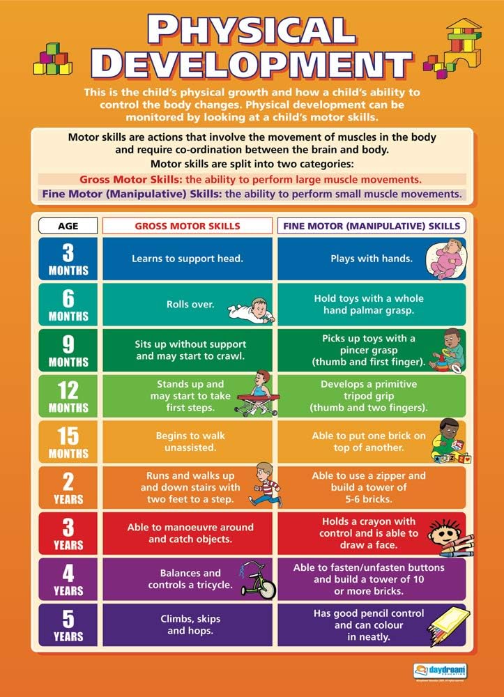 Daydream Education Physical Development Classroom Poster - EXTRA LARGE - A1 (850mm x 594mm) - Gloss Paper - Child Care & Development Wall Charts