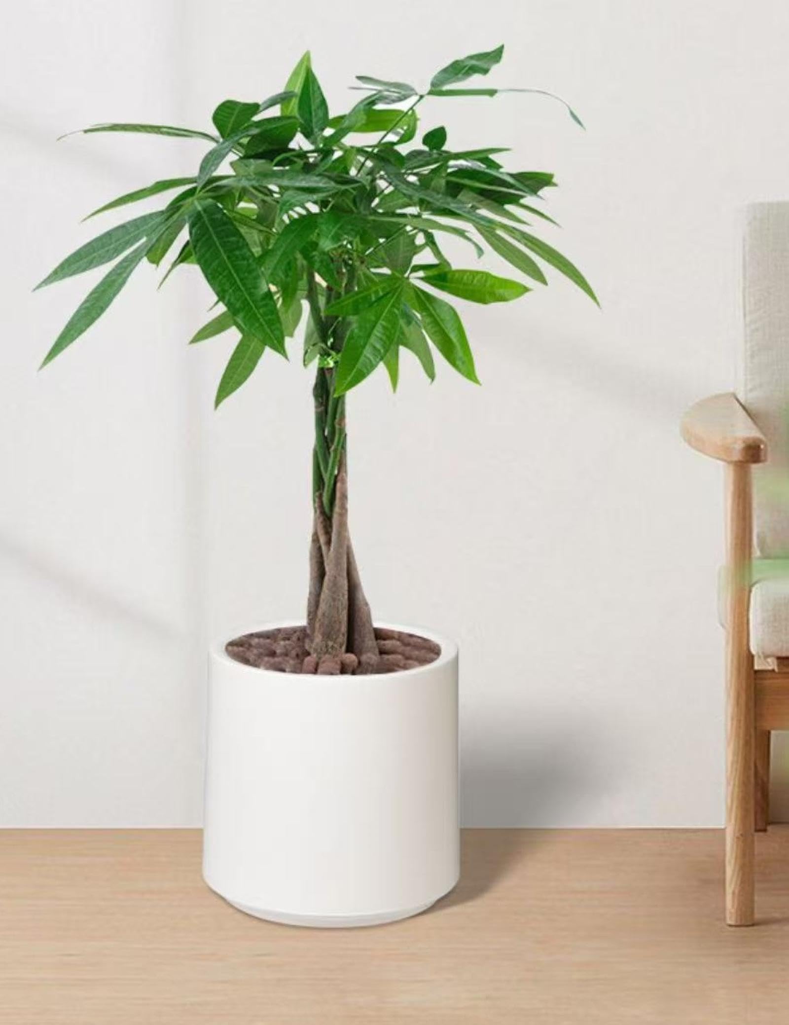 Amazon.co.jp: 大型植木鉢カバー 34cm 北欧風 プラスチック 軽量 丸型 