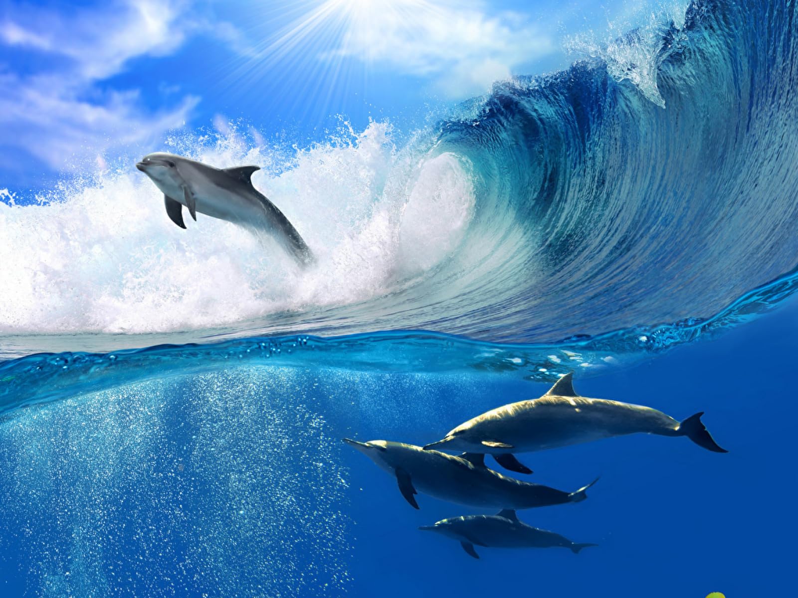 Juego niño puzles 1500 Piezas Delfines Olas del océano Saltar Animales 87x57cm