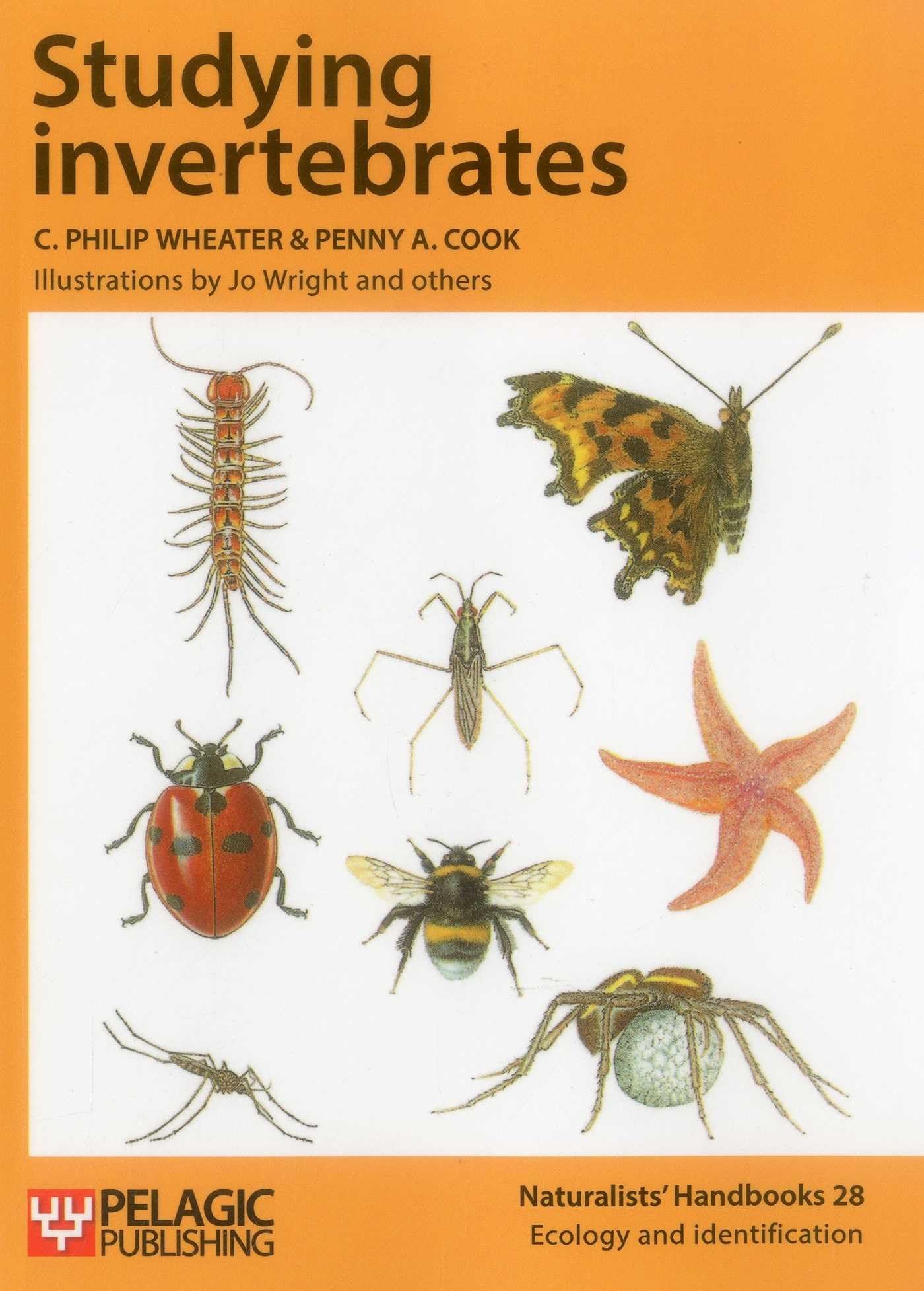 Studying invertebrates (Naturalists' Handbooks): 28