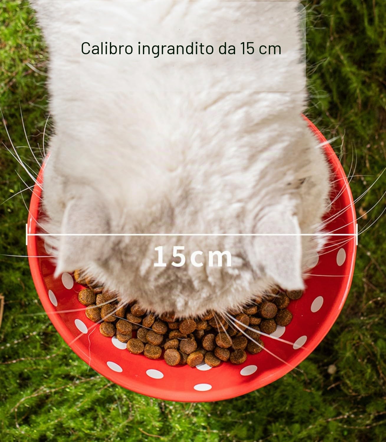 Set di 2 ciotole rialzate in ceramica per gatti con cuscinetto protettivo antiscivolo in silicone, a forma di fungo, per cibo per gatti e acqua, piatto rialzato anti vomito, 300 ml, rosso e giallo