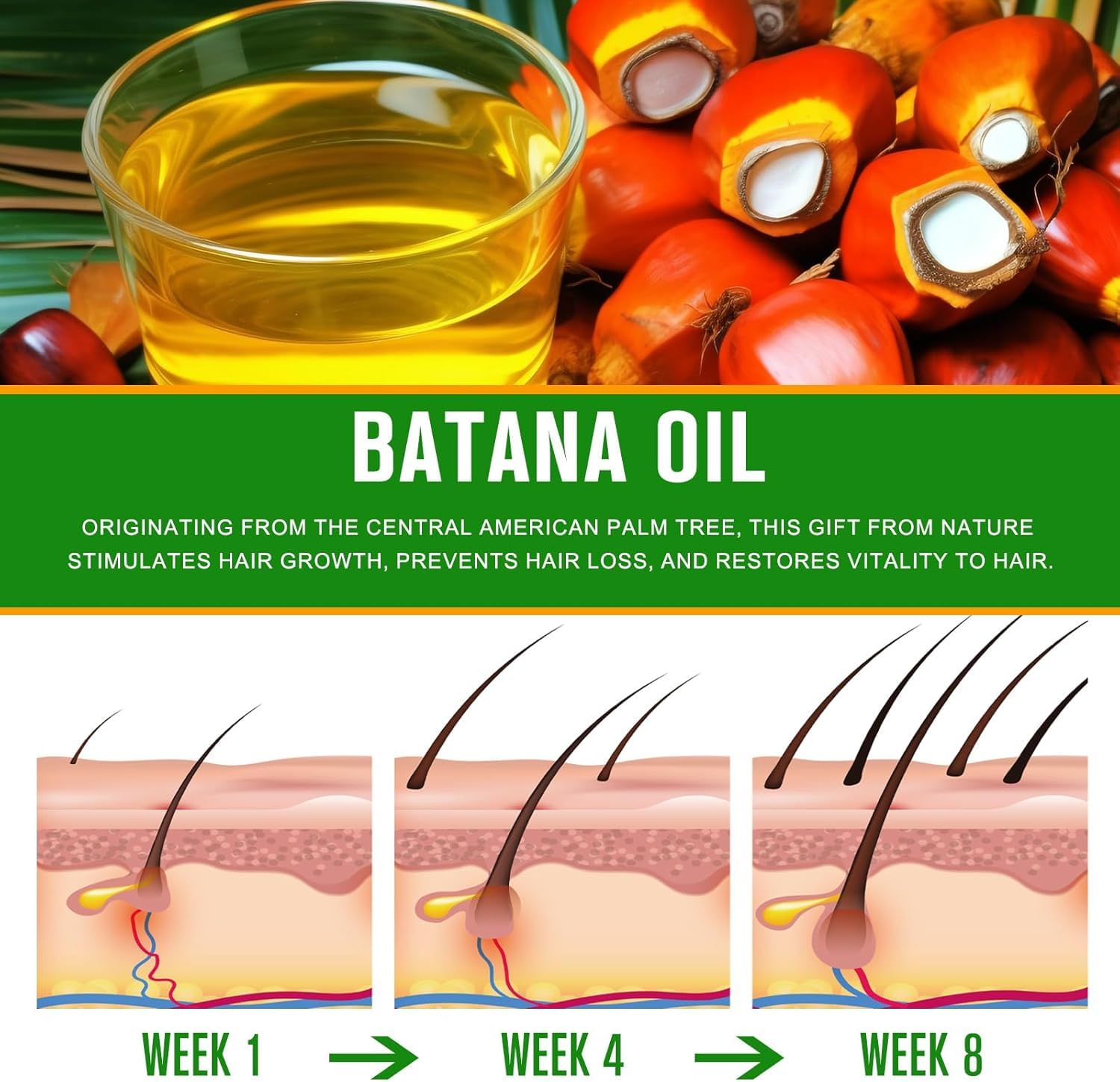 Pack of 3 Batana Oil for Hair Growth Dr Sebi, 156ml, 118ml and 60ml Organic Honduras Batana Oil - Image 4