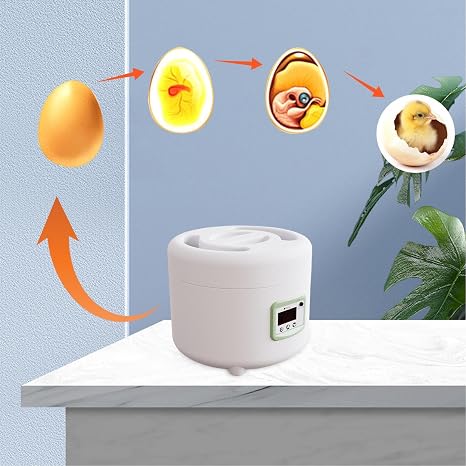 Egg Hatching Incubator - Automatic Egg Turner, Digital Temperature Control | Poultry Hatcher for Chicken, Duck, Quail Eggs, 9-10 Egg Capacity, LED Display, Ideal for Home and Educational Use