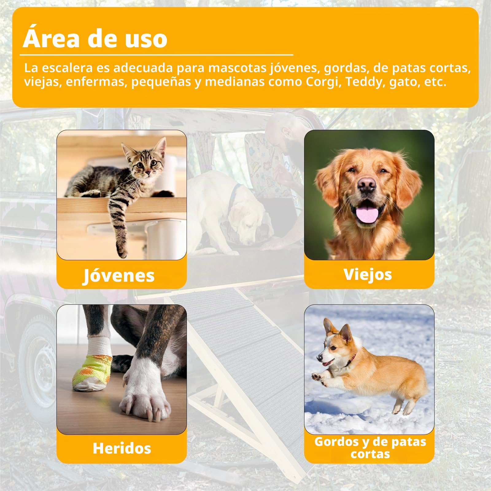 UISEBRT Escalera para perros, plegable, para mascotas, de madera, con inserto antideslizante, para mascotas, hasta 100 kg