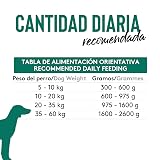 Ver la foto 6