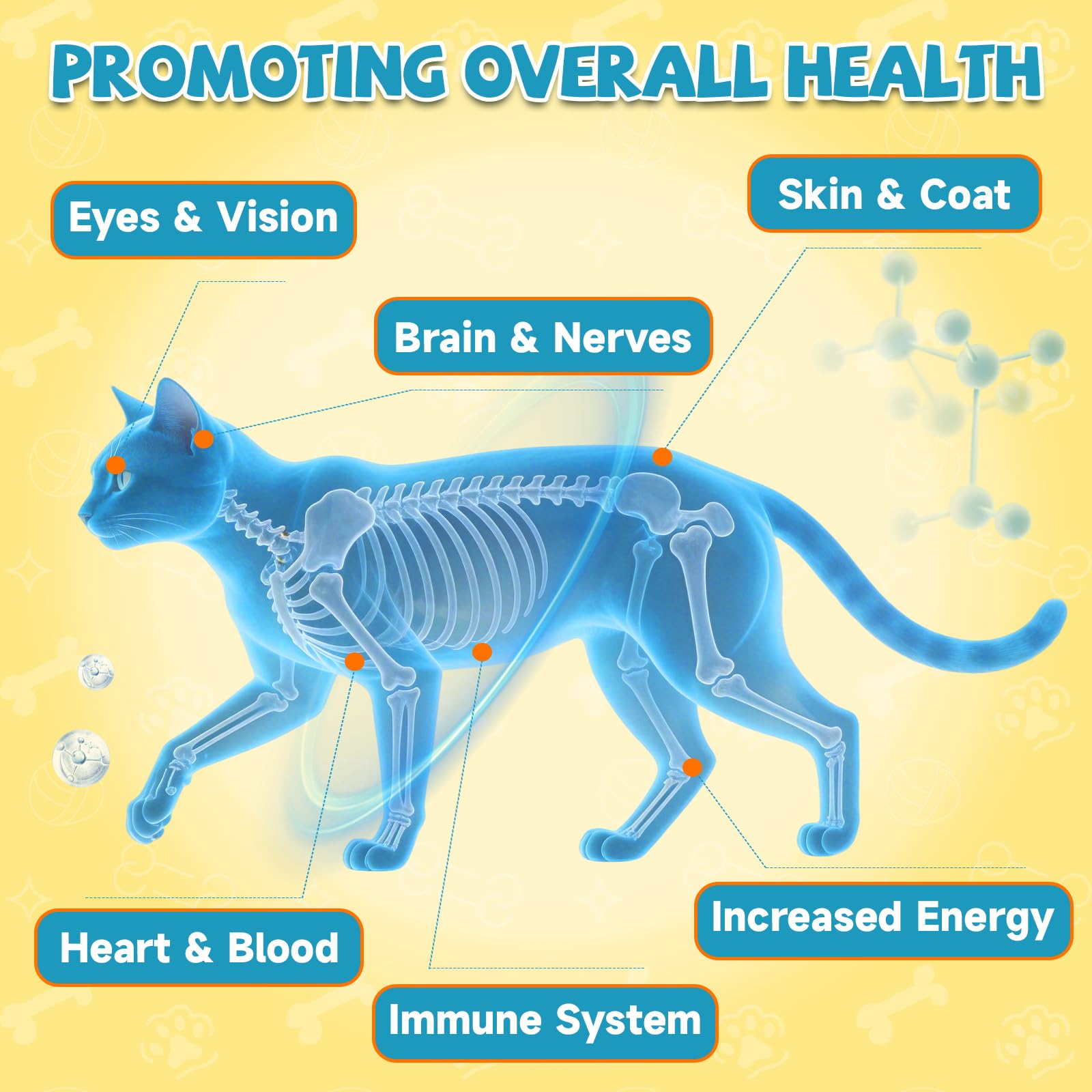 Taurina per Gatti Gocce – Integratore Taurina per Gatti, Felina Cardiaca e Vista, Immunitaria, l'Energia e Vitalità, Coenzima Q10, L-Carnitina, L-Arginina, Vitamine, Liquida Gatto Taurina, 60ml