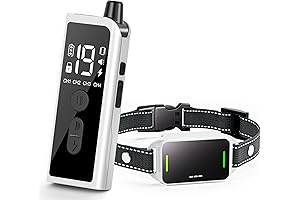 Best Shock Collar for Small Dogs up to 20 lbs in 2023