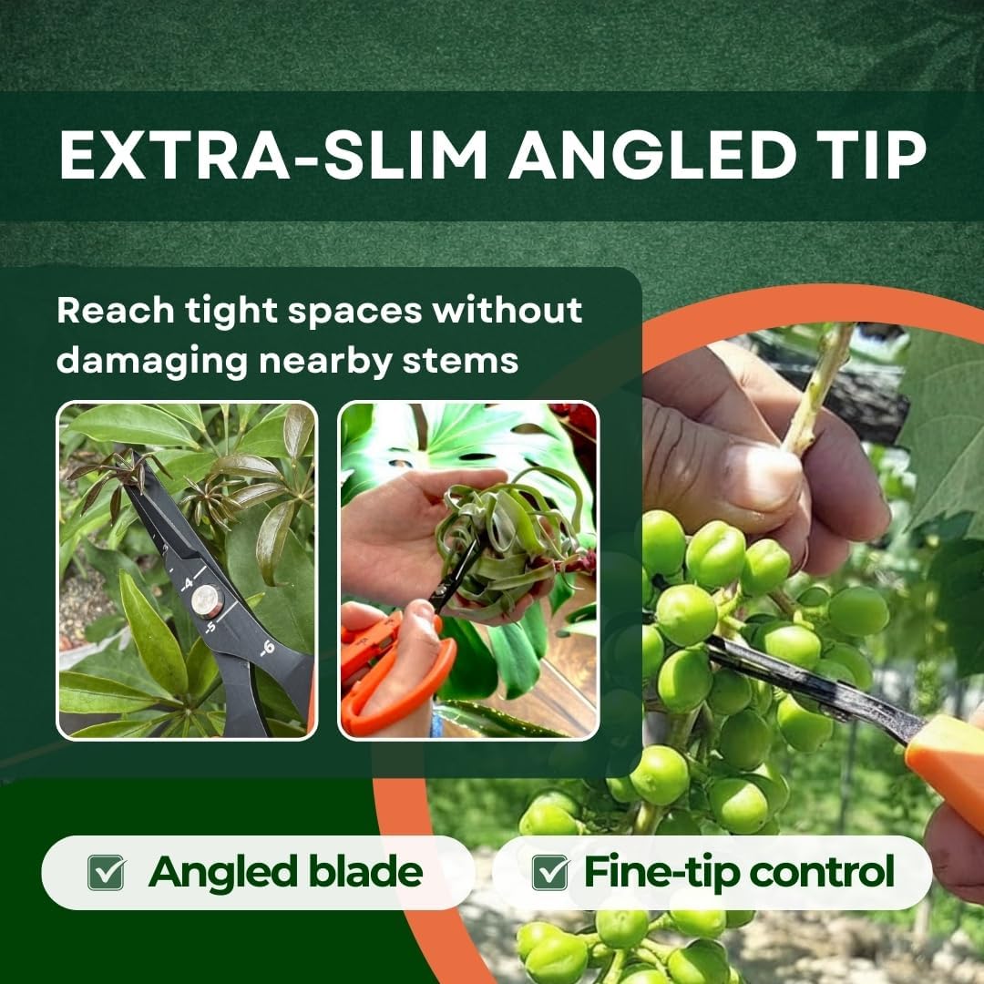 Saboten 6.3" Japanese Harvesting Shears, Magnetic Springless Assist, Fine-Tip Angled Blade, Fluorine-Coated Stainless Steel, Ergonomic Non-Slip Grip, Safety Lock, Made in Japan - Image 3