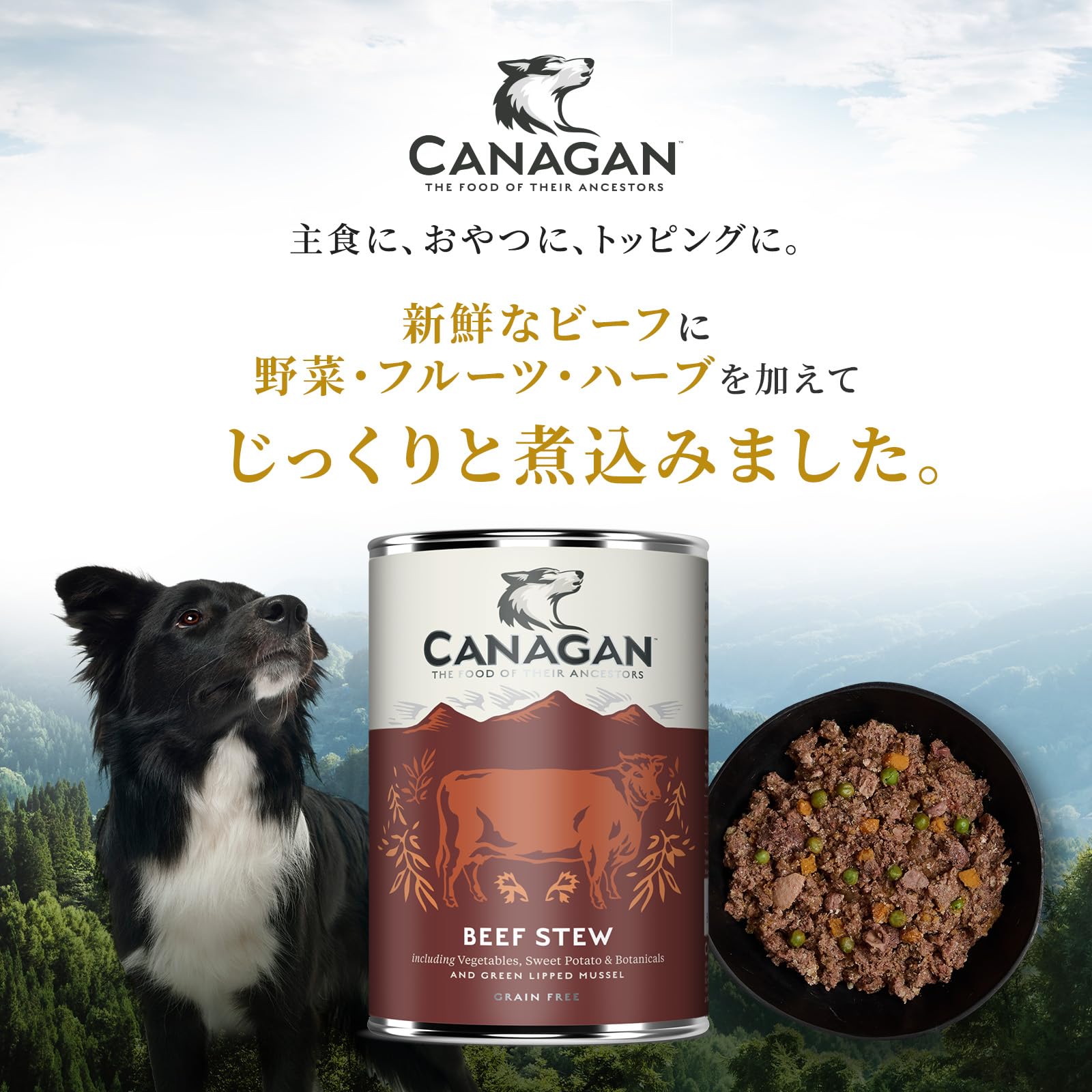 CANAGAN ドッグフード ビーフシチュー 400g×12缶 Amazon.co.jp: カナガン ドッグフード ビーフシチュー 缶詰 （400g×6缶