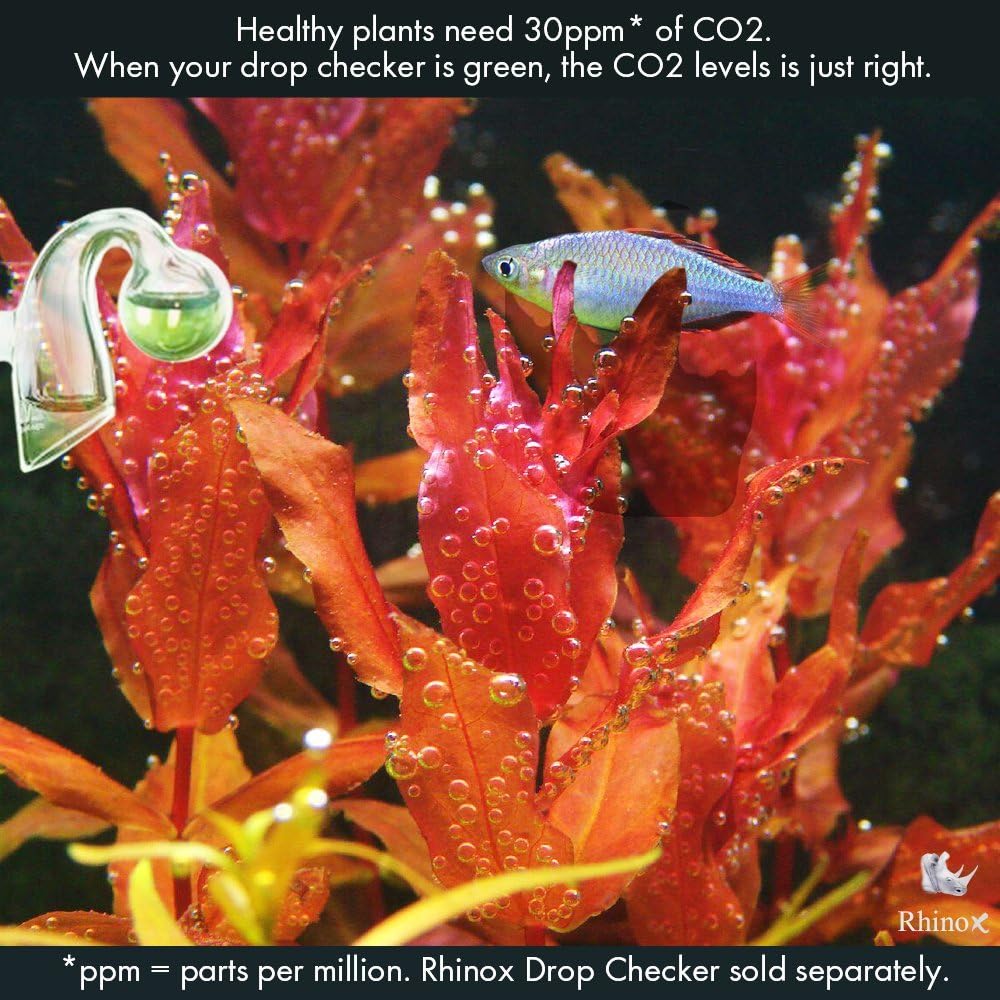 Rhinox Nano CO2 Diffuser - Keeps Aquarium Plants Healthy with CO2 Injection - 3-Minutes to Setup - Works Best with Pressurized CO2 Tank - for Tank Size Under 20 Gallon