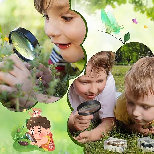 Miniatura 4 de Woanger 10 piezas de insectos en espécimen de resina de insectos en resina colección de insectos, pisapapeles divertidos animales de resina