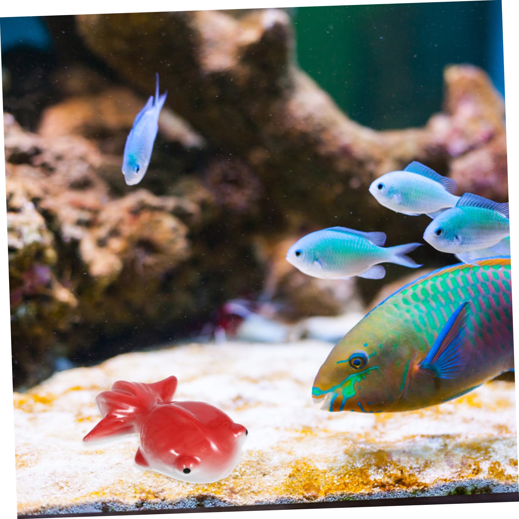 MAGICLULU 5 Pz ninnoli in ceramica decorazione del serbatoio di pesce pesci d'acquario artificiali aquarium aqua laguiole toy statua mestiere subacqueo puntello di layout dell'acquario