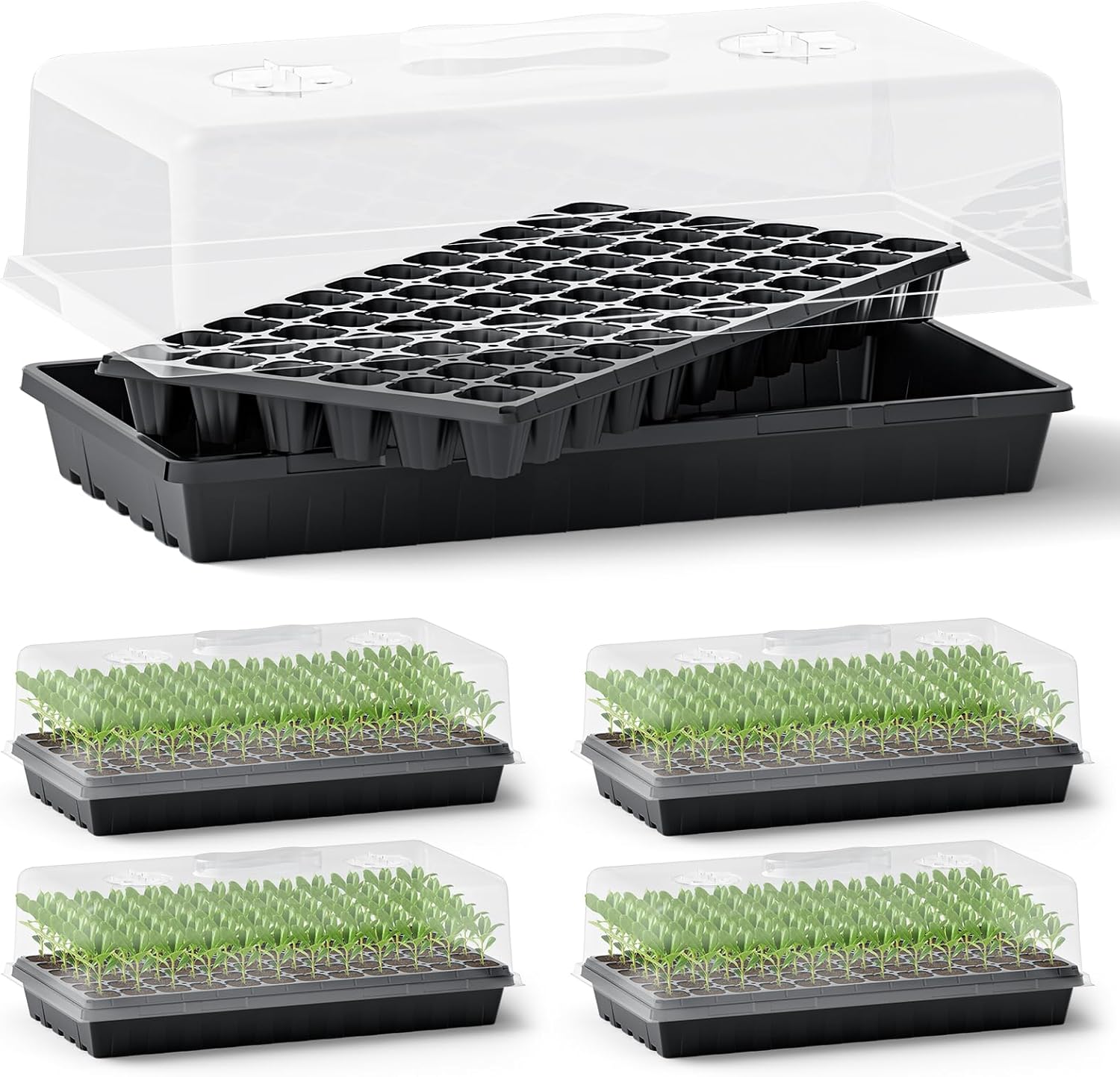ZJP 20 Pack Extra Thick 1020 Heavy Duty Seed Starter Trays - No Holes, Reusable, 2.44 in Deep, Plastic Plant Growing Trays for Seedlings, Microgreens,and Propagation Sprouting in Garden, Greenhouse