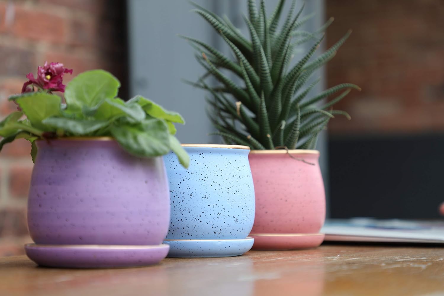 Succulent Flower Planting Pots | Small Planter Pot for Plants | Drainage Hole, Detachable Saucer | Perfect for Outdoor Garden, Indoor, Office Work Desk, Coffee Table, Cactus and Herbs