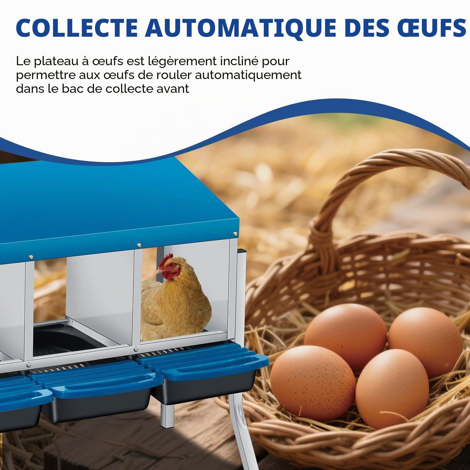 Pondoir pour poules avec pieds 3 compartiments - En métal solide - Avec compartiment à œufs - Nid de poules pour grandes poules - Bleu