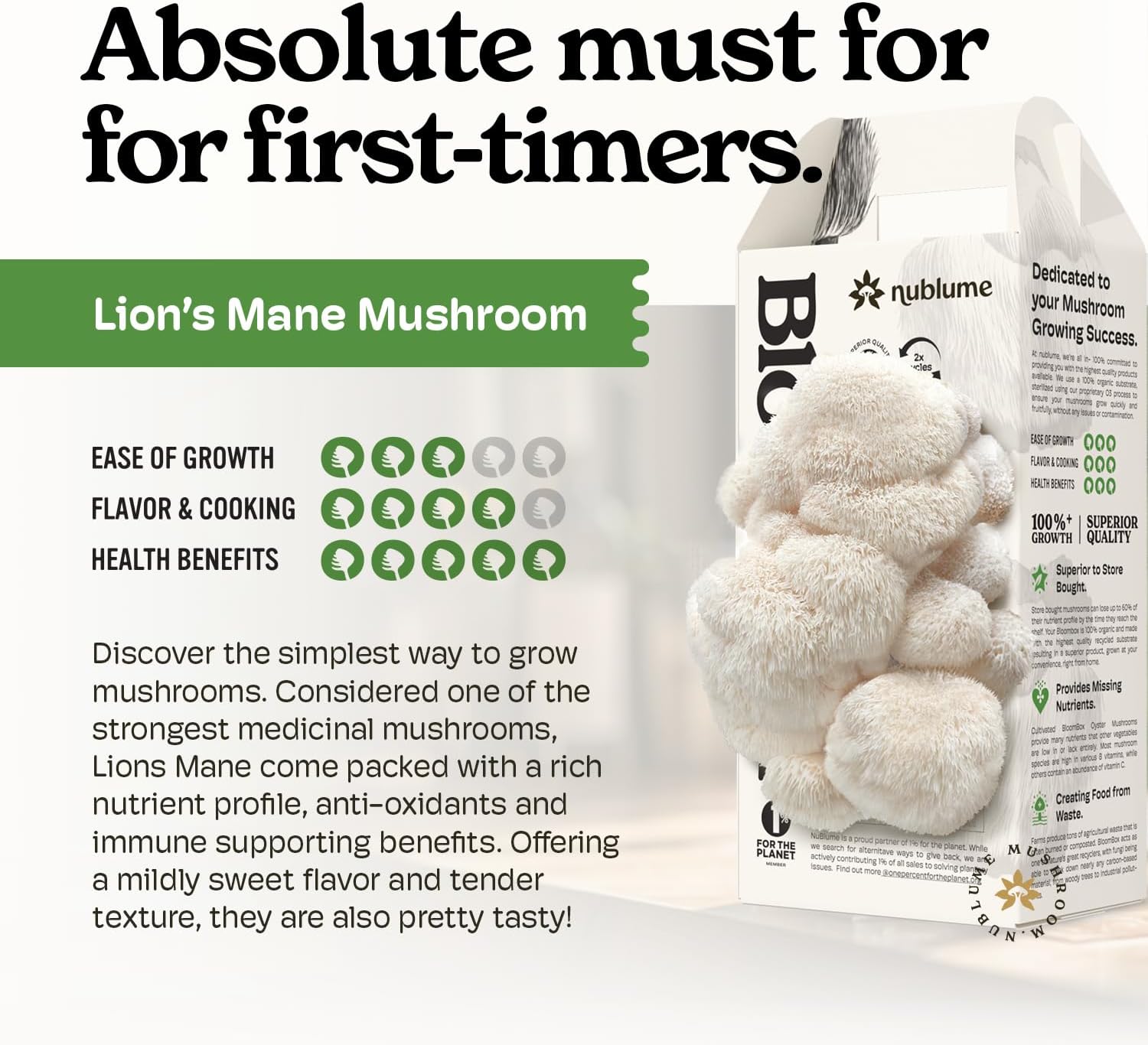 Lion's Mane Mushroom Grow Kit - Image 8