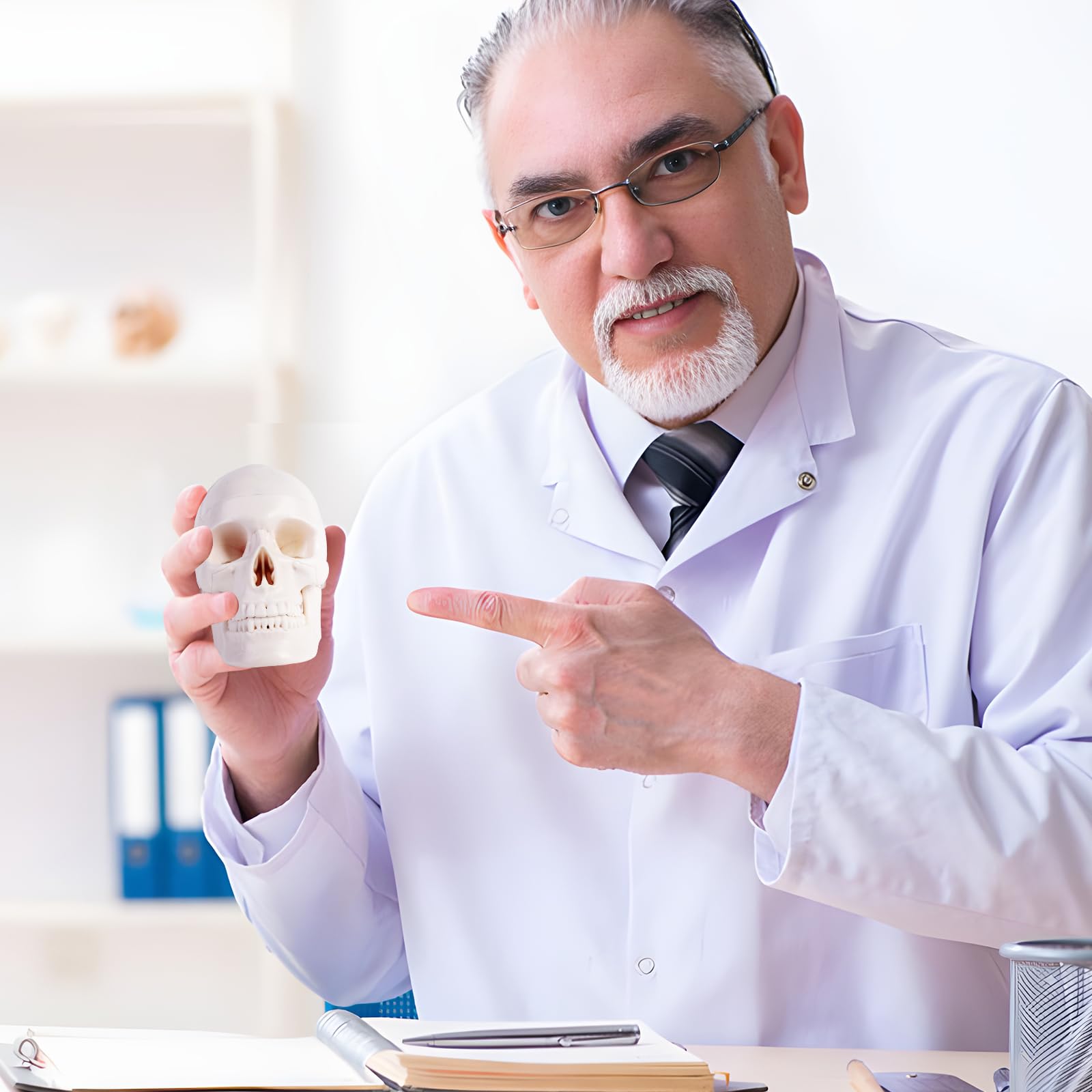 ERWEY Mini crâne modèle de squelette pour l'enseignement de l'anatomie, modèle squelette d'un crâne humain avec mâchoire mordable, blanc