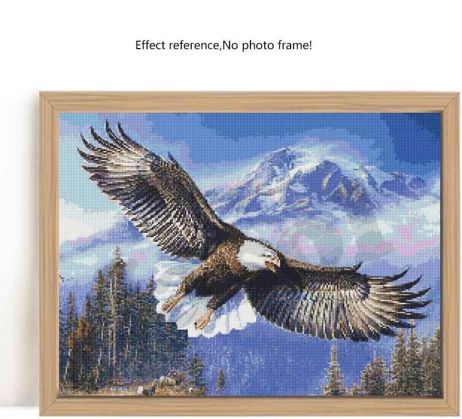 Image of Jasol Diamond Painting Kit, 40x30 Cms, Full Drill, 5D Crystals, Home Wall Decor Gift Set (Eagle J40018)