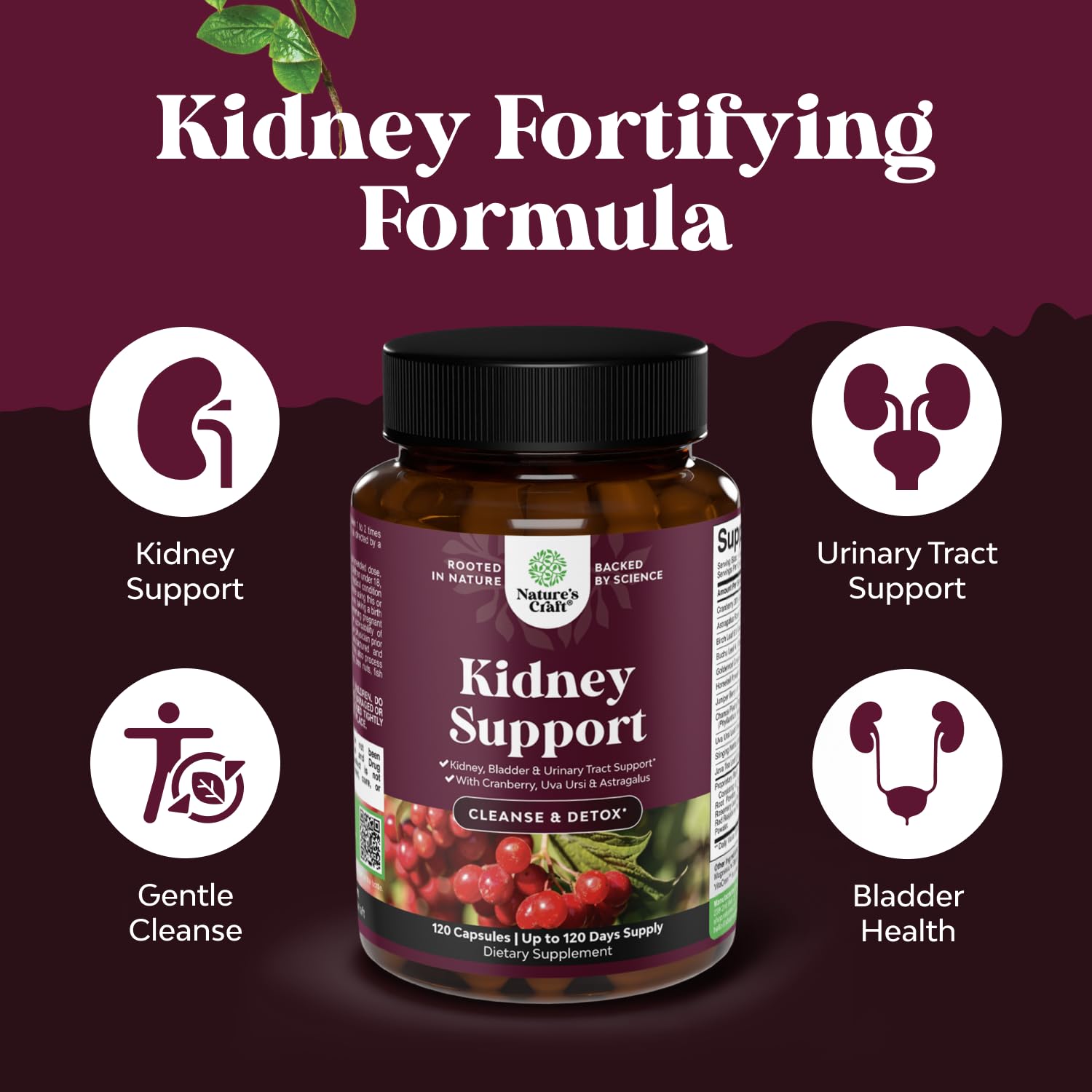 Advanced Kidney Support Capsules - Cranberry Supplement - 120 Count — Amazon image 3