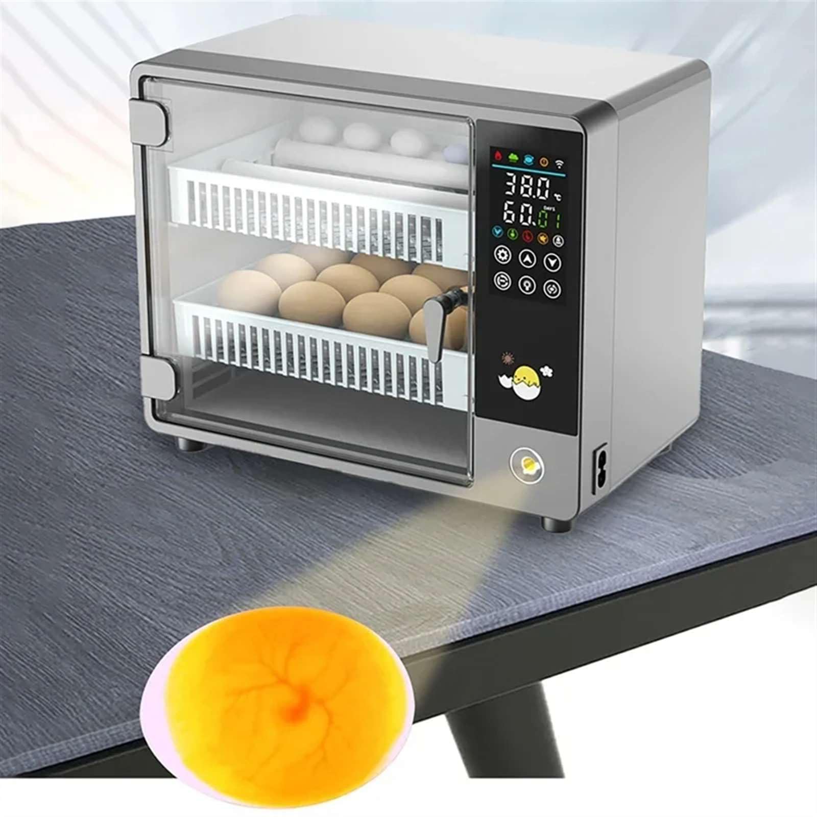 Incubadora Huevos Gallina, Incubadora Automática de Huevos para 24 Huevos, con Volteo Automático de Huevos y Humidificación Automática, Control Inteligente de Temperatura Pantalla Táctil