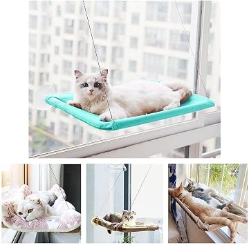 Cat Purrfect Perch, 2023 New Cat Bed Window, Cat Window Hammock Window Perch, Safety Cat Shelves Space Saving Window Mounted Cat Seat for Window Perch for Large Indoor Cats G-Green