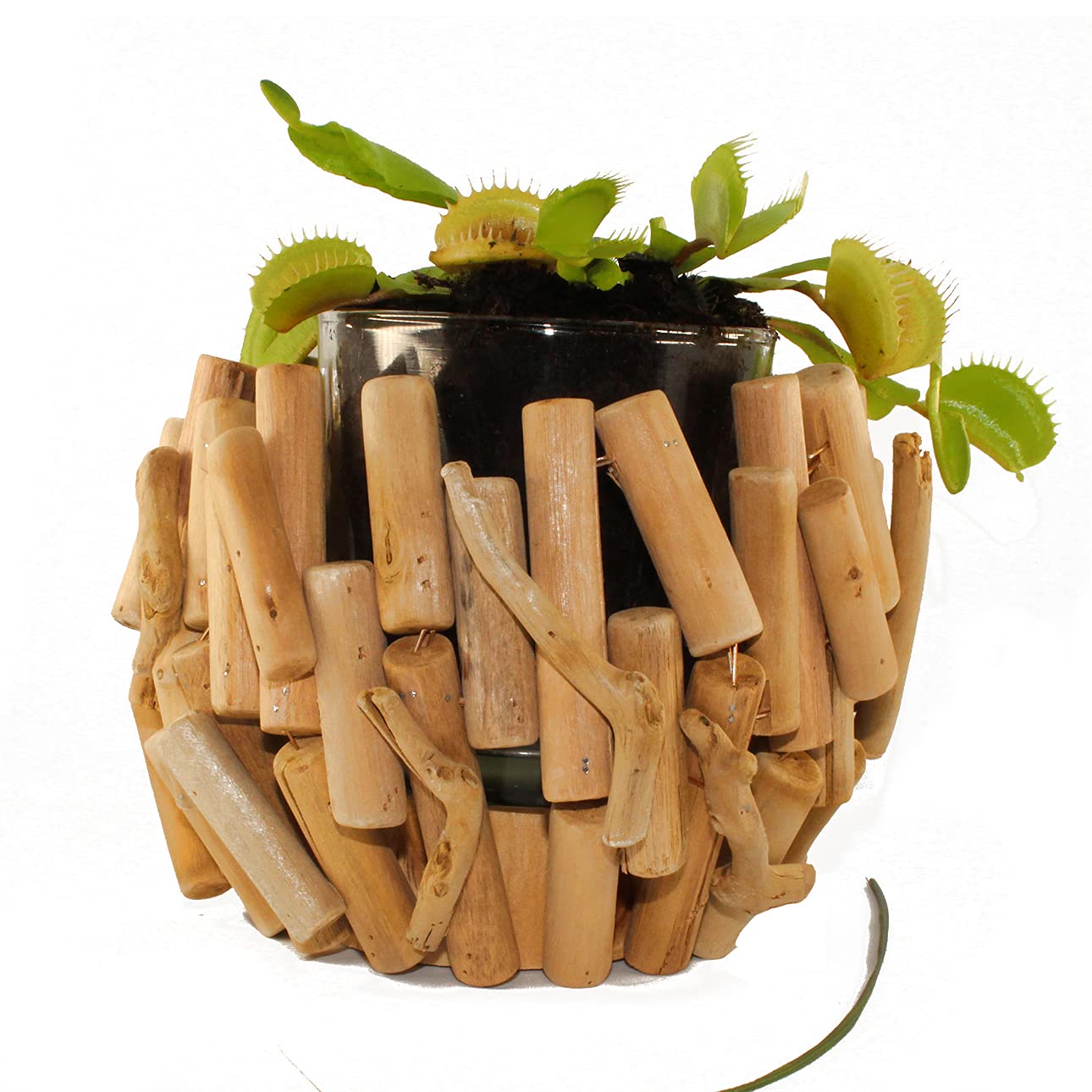 Small Vase Candle Holder | Driftwood and Glass, Natural | Handmade | Round to Stand | Table Decoration Office | Biscay Home