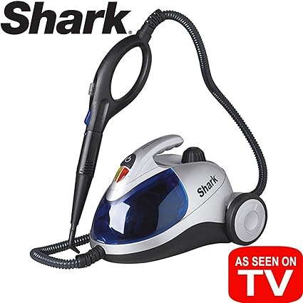 steam blaster cleaner