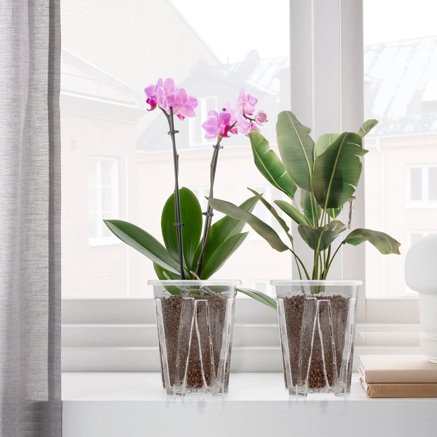 10 Vasi Trasparenti Per Orchidee In Plastica Con Fori Drenaggio E Sottovaso, Altezza 12 Cm
