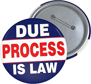 Due Process Is Law Pin Button - Immigration Rights Political Badge - Free Speech Civil Liberties Gift - I Love Due Process Button - 1.25", 2.25", 3" Sizes