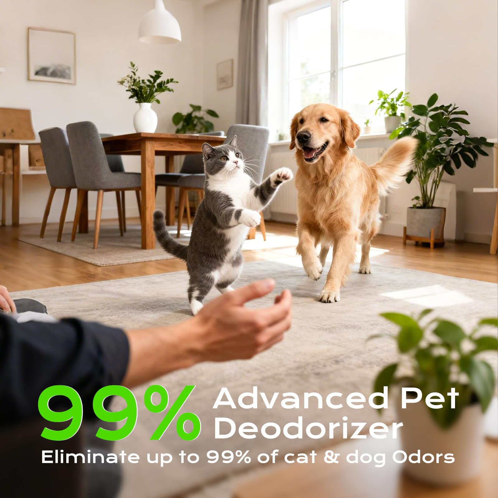 Deodorante per lettiera per gatti 99% ozono eliminatore di odori ioni negativi 2 in 1, purificatore d'aria portatile senza filtro, silenzioso, rimozione degli odori del cane per casa, animali