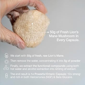 Organic Lions Mane Supplement | 12X Strength | NGF | 3 Month Supply | Dual Extract | Soil Association Certified | 1% Hericenones | 40% Beta-Glucans