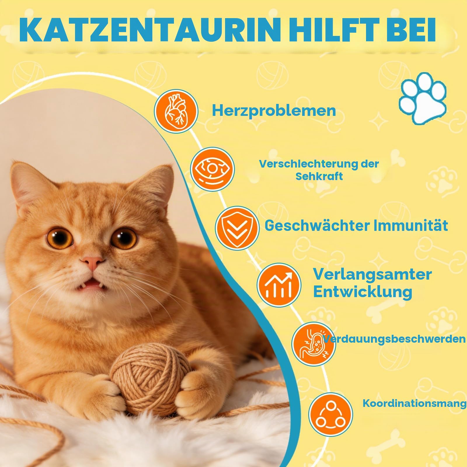 Taurin für Katzen Tropfen - Taurin Ergänzungsmittel für Katzen Unterstützt Felina Herz & Immunfunktion, Sehkraft, Energie & Vitalität L-Carnitin, L-Carnitin, Coenzym Q10, Omega3, L-Arginin, Vitamin | L-Carnitin, L-Arginin, Coenzym Q10, Vitamin, Taurin-Flü