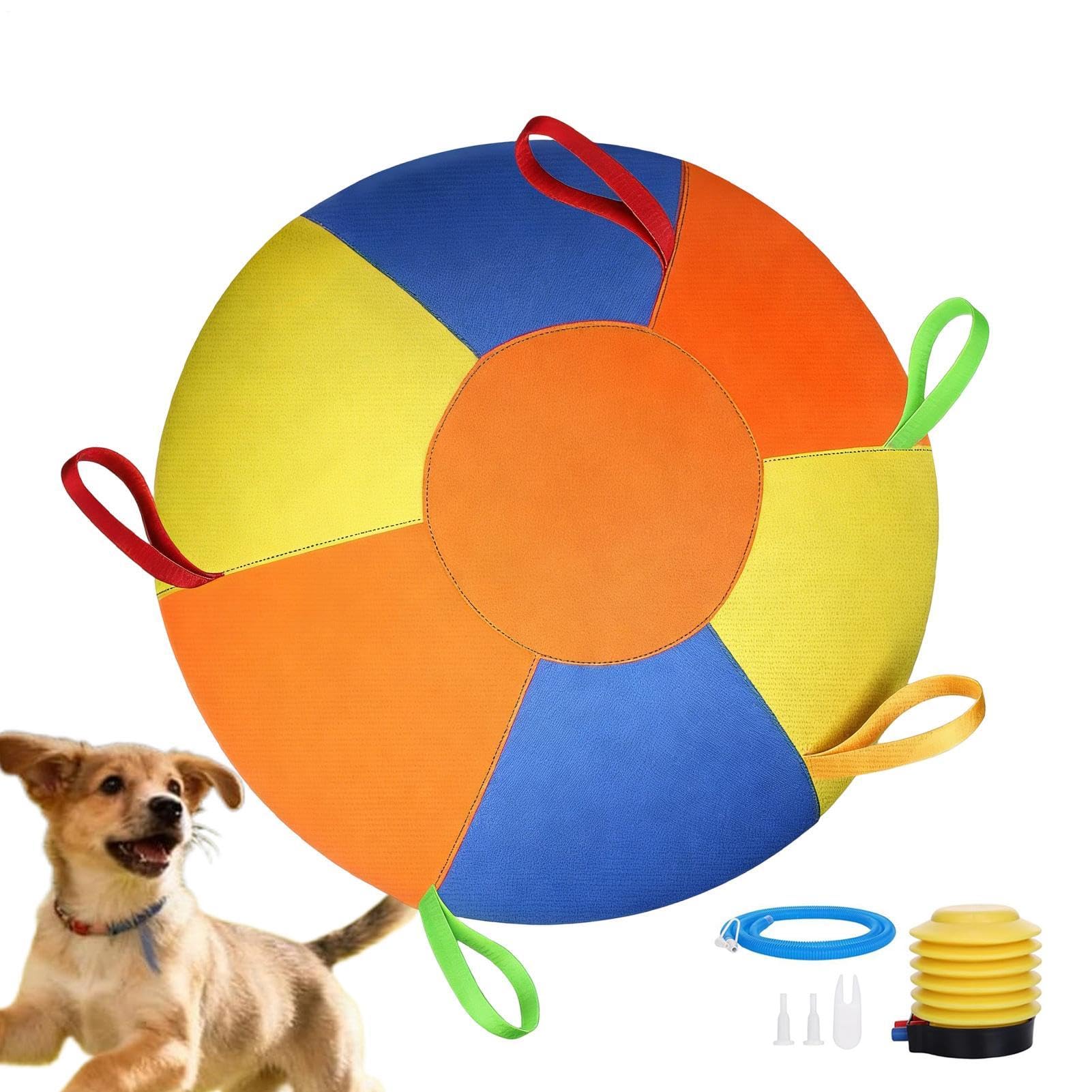 Herding Toys for Dogs Inflatable Tear-Resistant Interactive