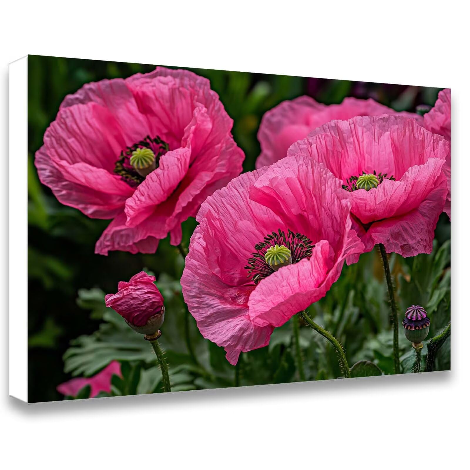 Peinture Numero Adulte fleur, Activité Manuelle Adulte 70x90cm j0-679