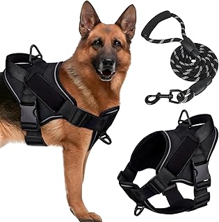 Harnais pour chien de grande taille - Harnais de poitrine anti-traction avec laisse de 1,5 m - Harnais de sécurité antidérapant et respirant - Parfait pour l'entraînement et les promenades