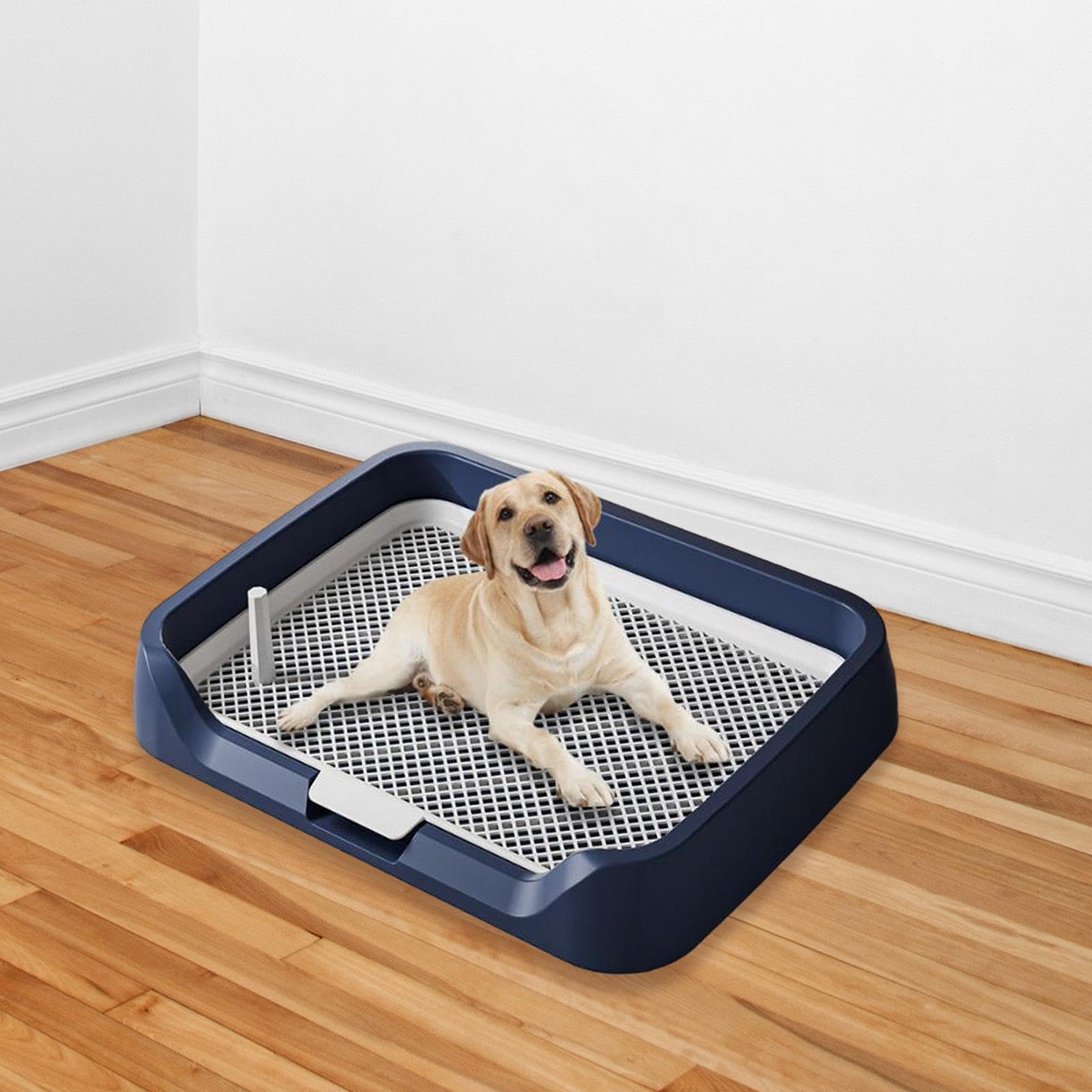Sharplace Plateau de Pot d'intérieur pour Chien, en Maille, pour entraînement, Toilettes, Support réutilisable pour Pipi, pour Grands Chiots, Petits Chiens et, Bleu