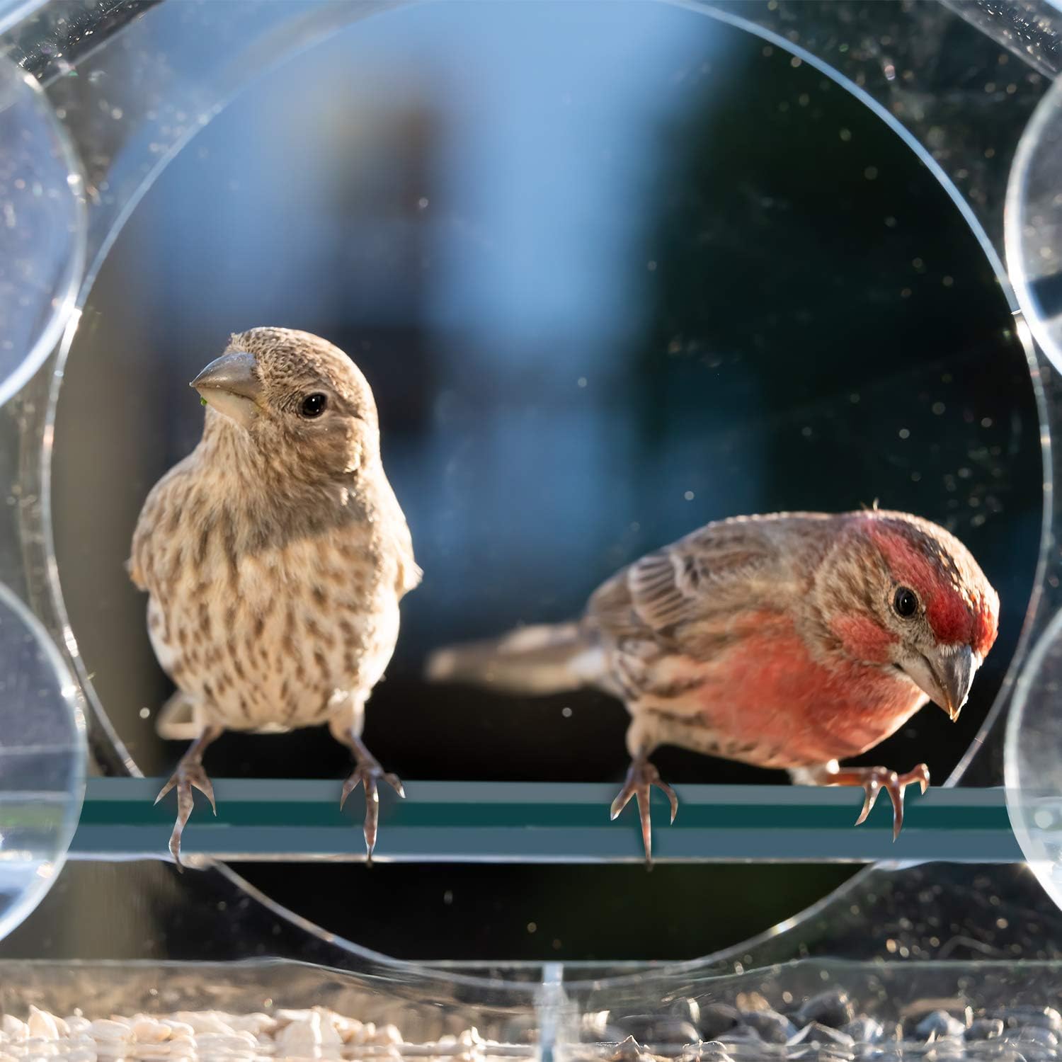 URATOT Clear Large Acrylic Hanging Window Bird Feeder with 4 Strong Extra Suction Cups and Seed Tray for Decorate Your House