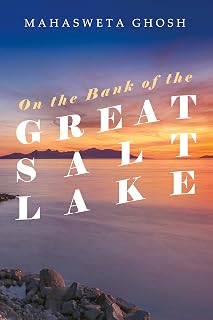 On the Bank of the Great Salt Lake